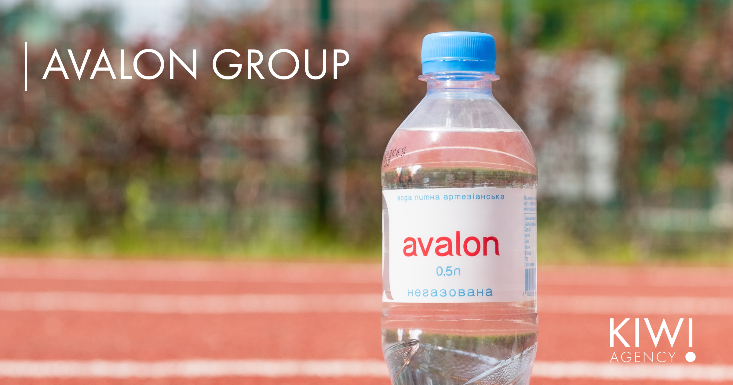 Avalon Group SMM